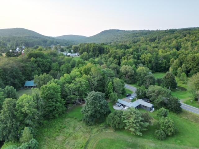 birds eye view of property with a mountain view