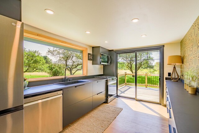 kitchen with appliances with stainless steel finishes, sink, plenty of natural light, and gray cabinets