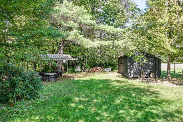 view of yard featuring a storage shed