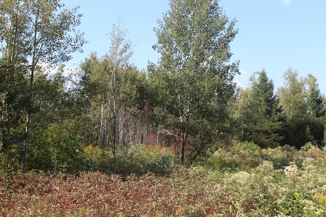 LOT4 Woodrbridge Corner Rds, Sherman, ME 04776