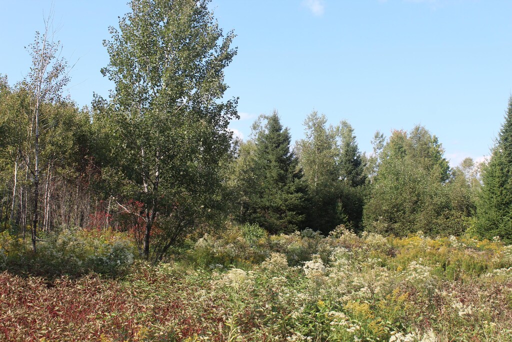 LOT4 Woodrbridge Corner Rds, Sherman, ME 04776
