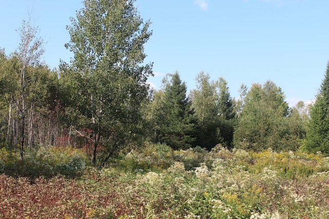 LOT4 Woodrbridge Corner Rds, Sherman, ME 04776