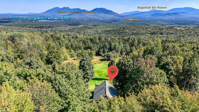 birds eye view of property featuring a mountain view