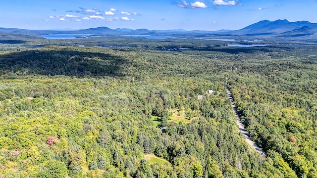 birds eye view of property featuring a mountain view and a forest view
