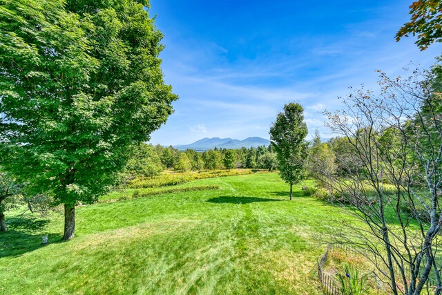 view of yard featuring a mountain view