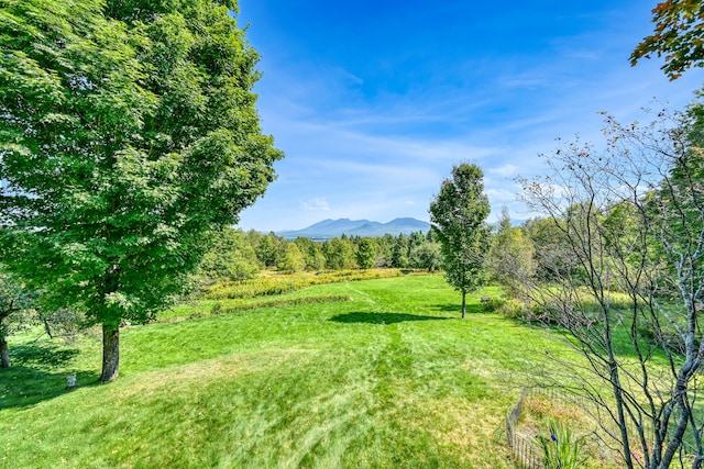 surrounding community featuring a mountain view, a view of trees, and a yard