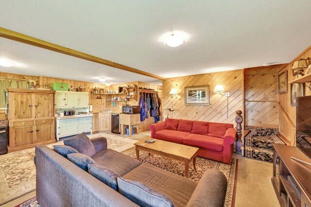 living room with wooden walls