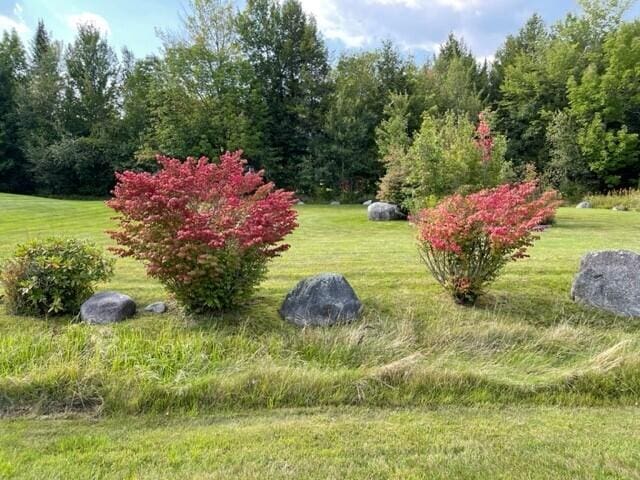 M31L43 Birchwood Ter, Pittsfield, ME 04967