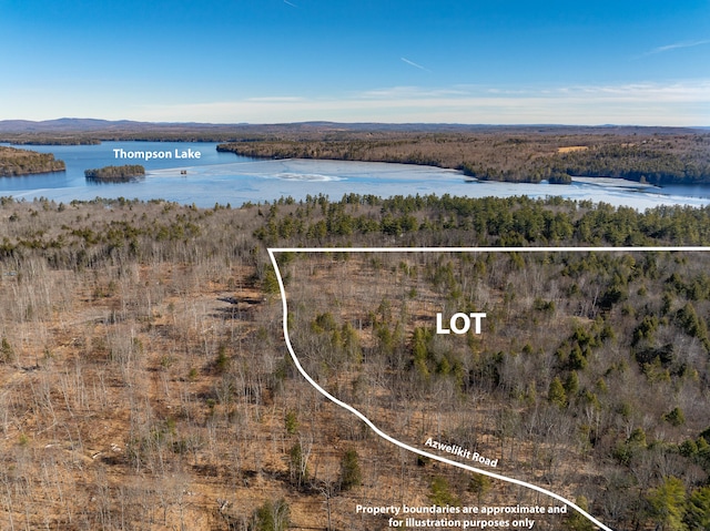 Listing photo 3 for LOT11-3 Azwelikit Rd, Casco ME 04015