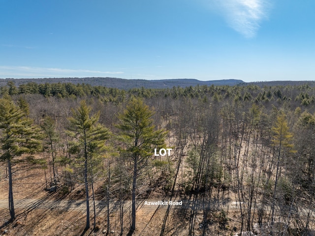 Listing photo 2 for LOT11-3 Azwelikit Rd, Casco ME 04015