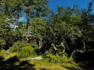 view of nature with a view of trees