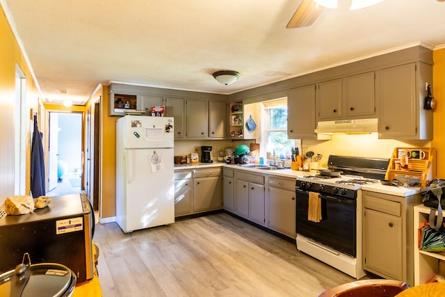 kitchen with white appliances, light hardwood / wood-style floors, ornamental molding, sink, and gray cabinets