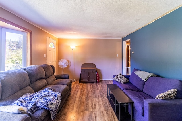 living room featuring crown molding, a textured ceiling, and hardwood / wood-style flooring