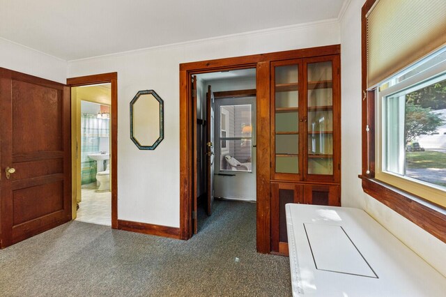 carpeted office with crown molding