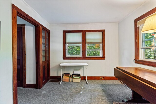 carpeted office featuring ornamental molding