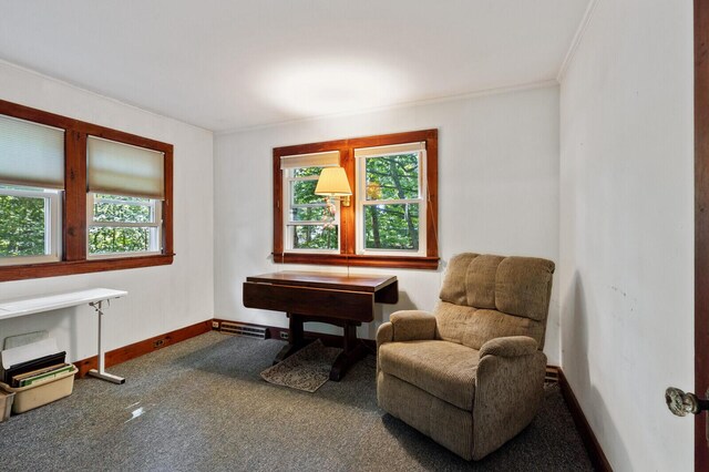 living area featuring ornamental molding and carpet