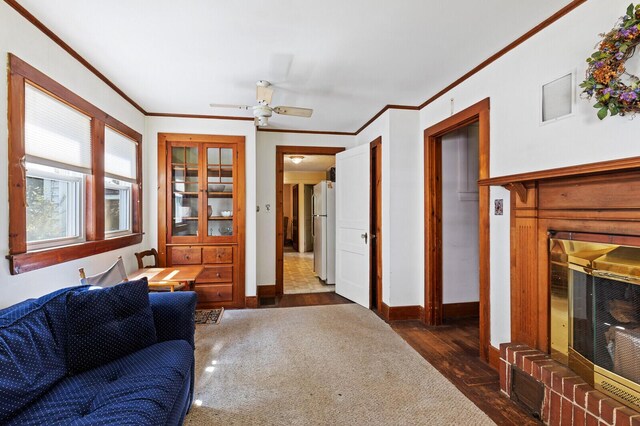 living room with ceiling fan, ornamental molding, a fireplace, and dark wood-type flooring