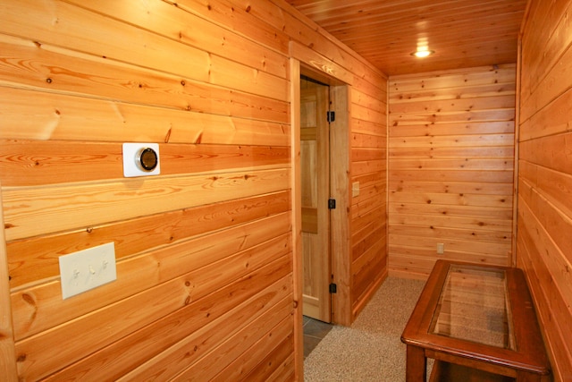 interior space with wood ceiling and wood walls