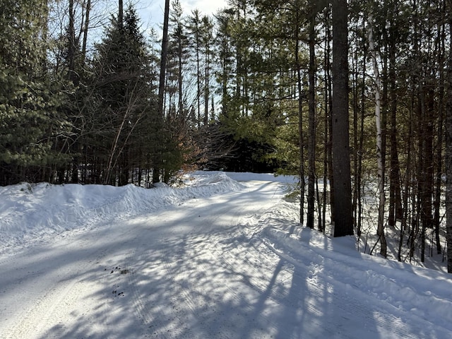 view of yard covered in snow