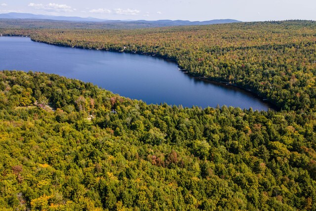 LOT15-9 Beaver Bog Ln, Abbot, ME 04406