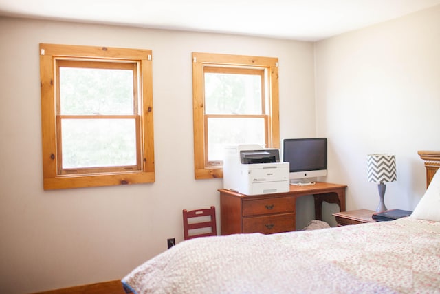 bedroom featuring multiple windows