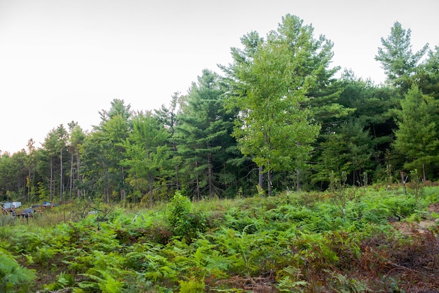 view of local wilderness