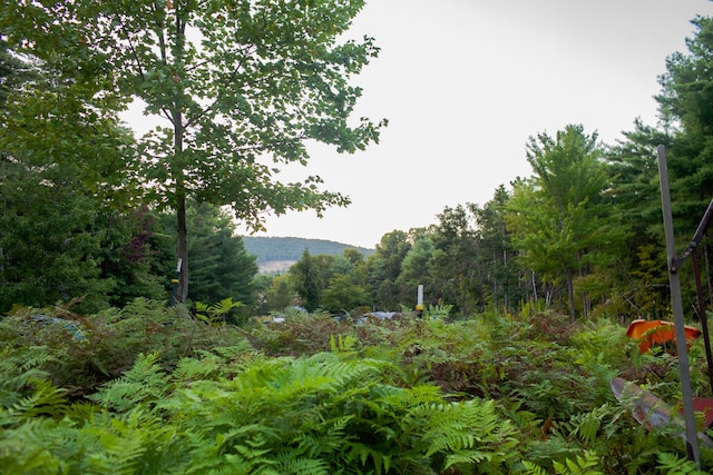 view of landscape