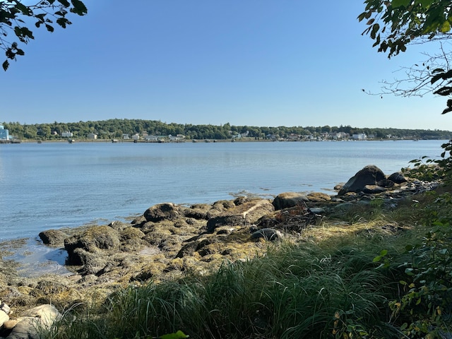 view of water feature