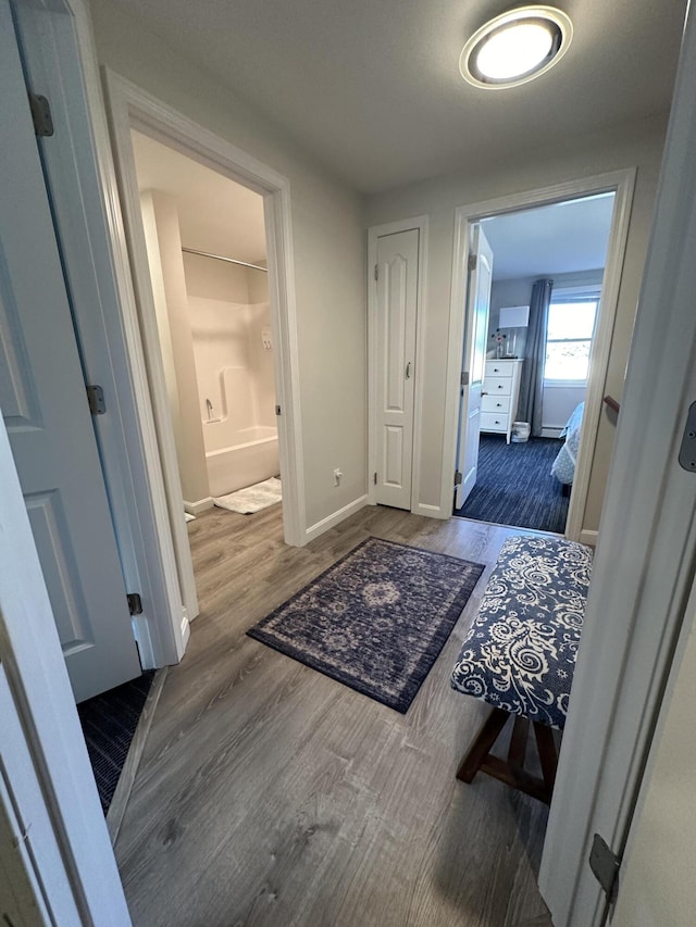 hall featuring dark hardwood / wood-style floors