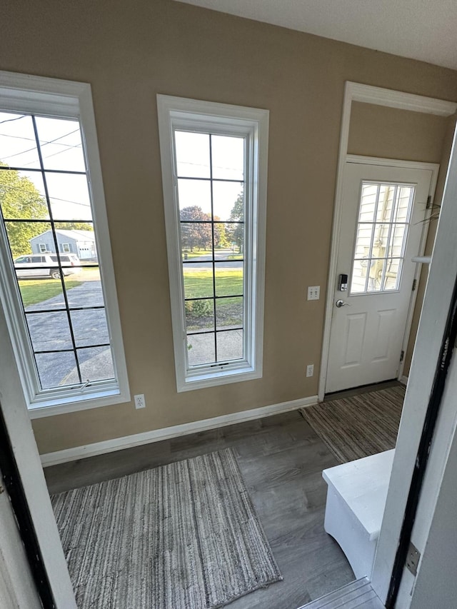 entrance foyer with hardwood / wood-style flooring and plenty of natural light