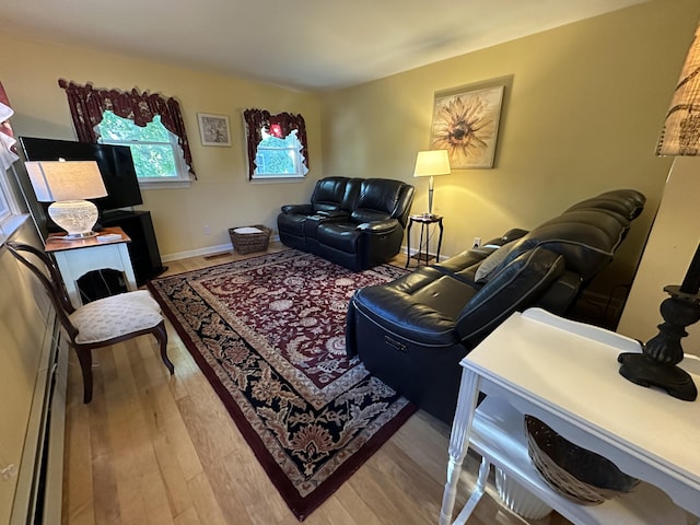 living room featuring wood-type flooring