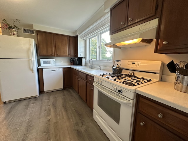 kitchen featuring white appliances, dark brown cabinets, sink, and dark hardwood / wood-style floors