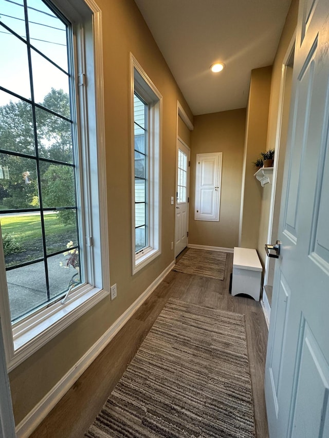 doorway with dark wood-type flooring