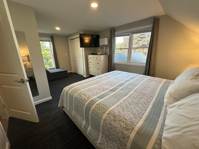 carpeted bedroom featuring lofted ceiling, multiple windows, and a closet