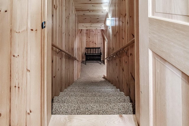 stairway featuring wood walls, carpet, and wooden ceiling