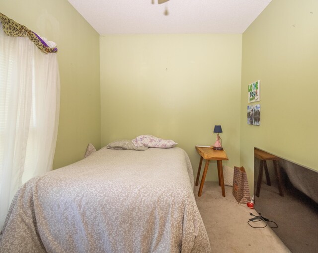 bedroom with light carpet