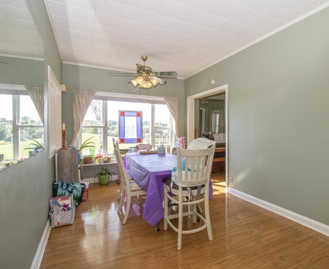 dining area featuring crown molding, ceiling fan, and wood-type flooring