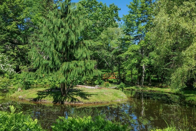 view of nature featuring a water view