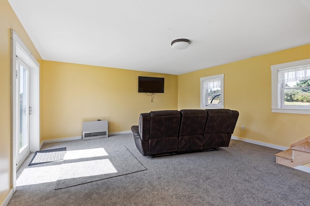 carpeted living room with a wealth of natural light