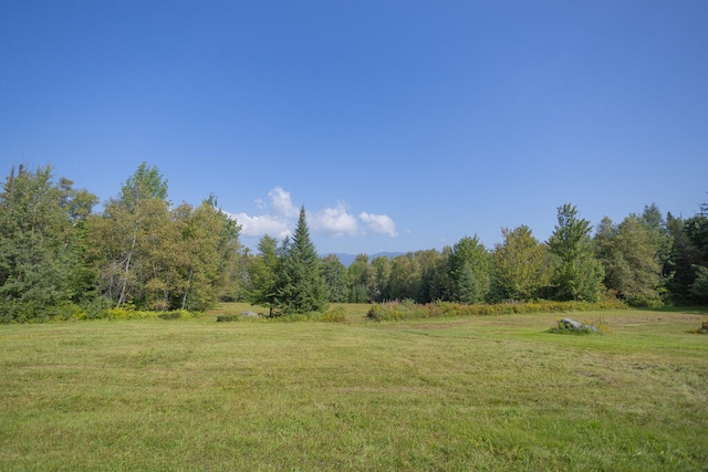 view of yard featuring a rural view