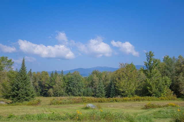 property view of mountains