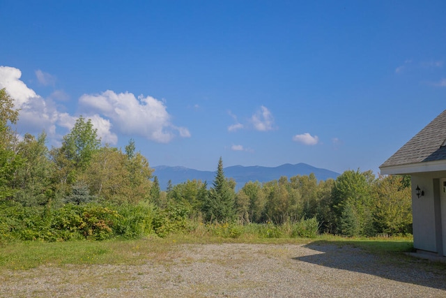 view of mountain feature