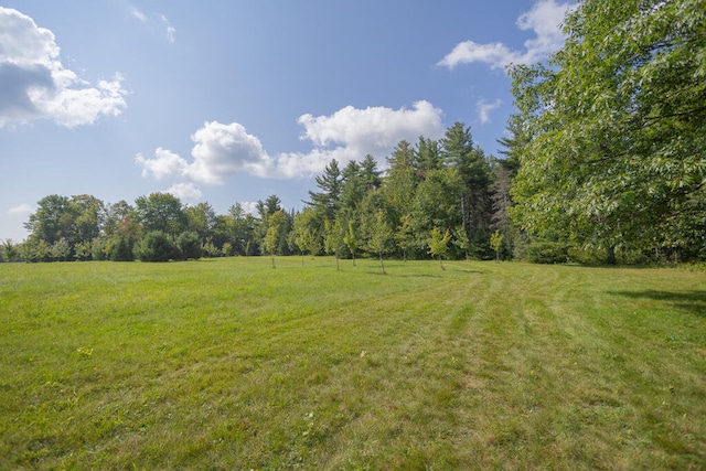 view of yard featuring a rural view