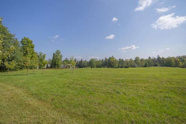 view of yard with a rural view