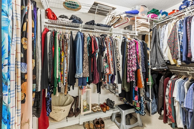 view of spacious closet