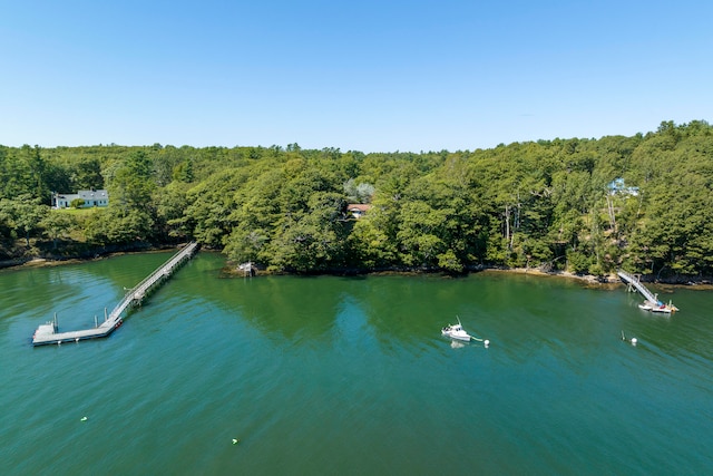 property view of water with a boat dock