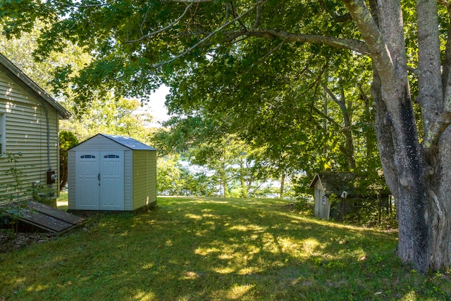 view of yard with a shed