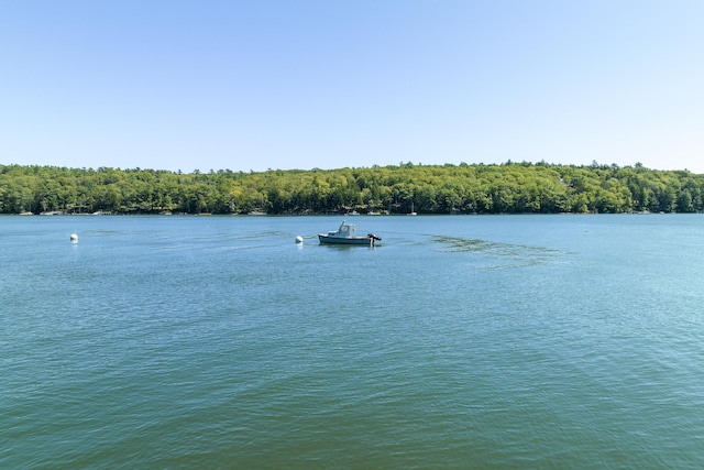 view of water feature with a view of trees and a boat dock