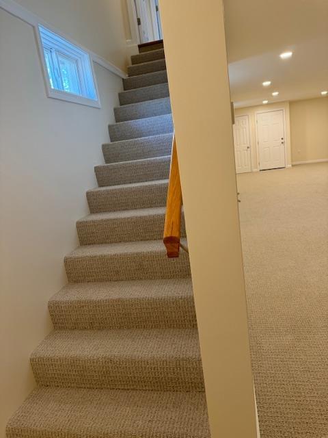 staircase featuring carpet floors