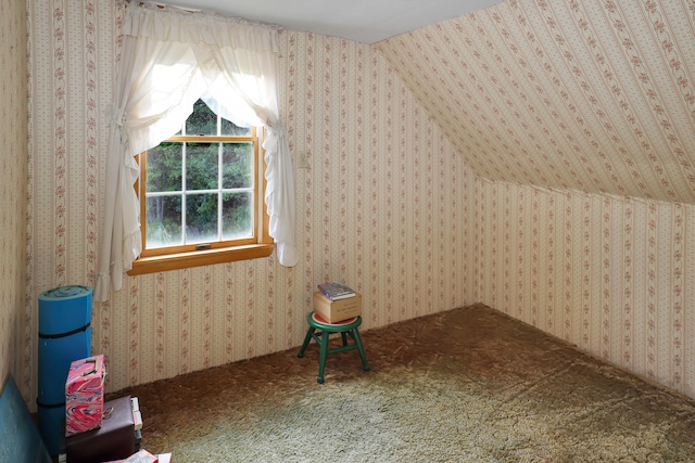 additional living space featuring carpet floors and vaulted ceiling